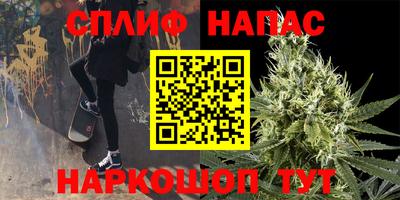 гидра Апрелевка
