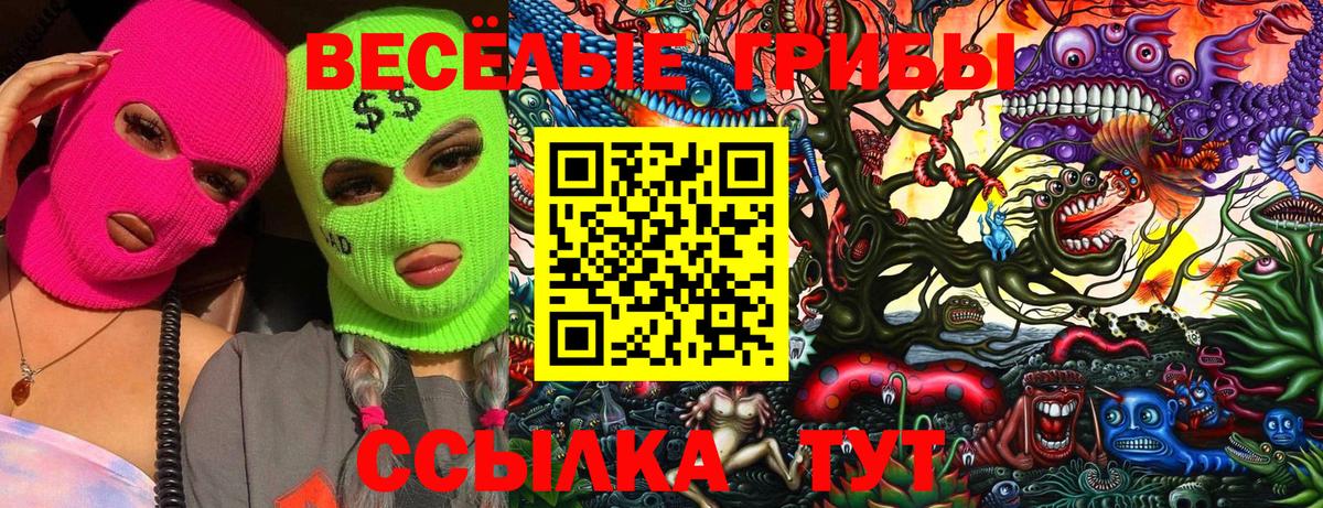 Галлюциногенные грибы GOLDEN TEACHER Артёмовский