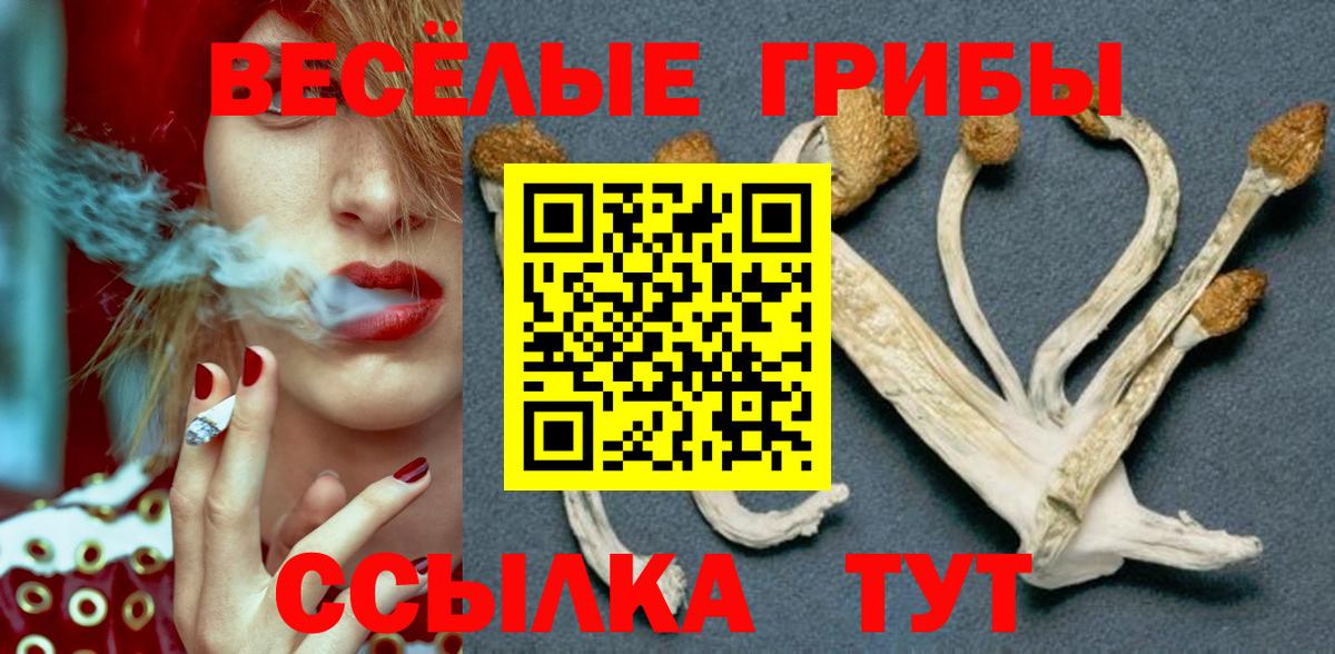 Галлюциногенные грибы GOLDEN TEACHER  Псилоцибиновые грибы прущие грибы  Артёмовский  Вход с VPN 